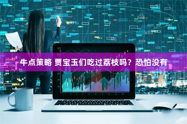 牛点策略 贾宝玉们吃过荔枝吗？恐怕没有