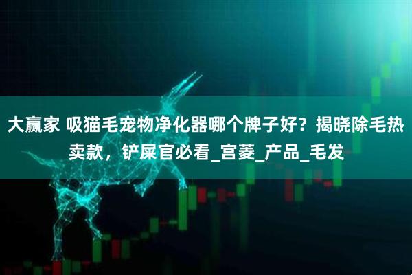 大赢家 吸猫毛宠物净化器哪个牌子好？揭晓除毛热卖款，铲屎官必看_宫菱_产品_毛发