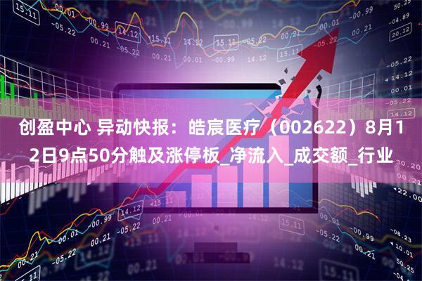 创盈中心 异动快报：皓宸医疗（002622）8月12日9点50分触及涨停板_净流入_成交额_行业