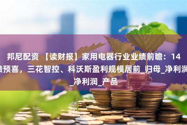 邦尼配资 【读财报】家用电器行业业绩前瞻：14家业绩预喜，三花智控、科沃斯盈利规模居前_归母_净利润_产品