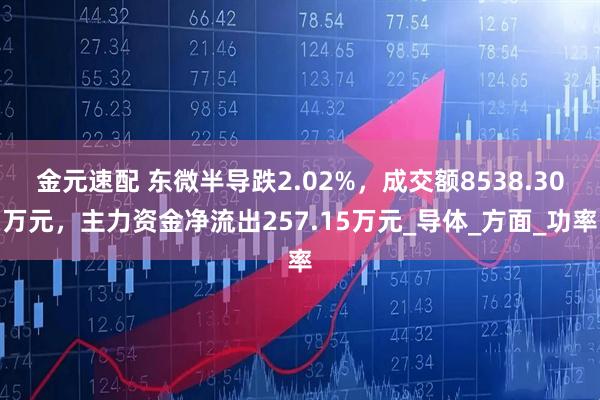 金元速配 东微半导跌2.02%，成交额8538.30万元，主力资金净流出257.15万元_导体_方面_功率