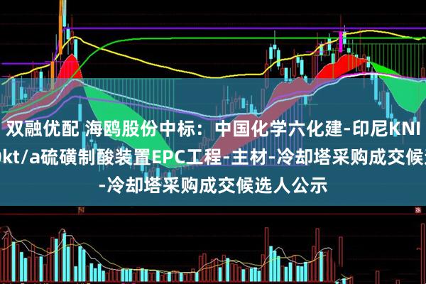 双融优配 海鸥股份中标：中国化学六化建-印尼KNI 4×1000kt/a硫磺制酸装置EPC工程-主材-冷却塔采购成交候选人公示