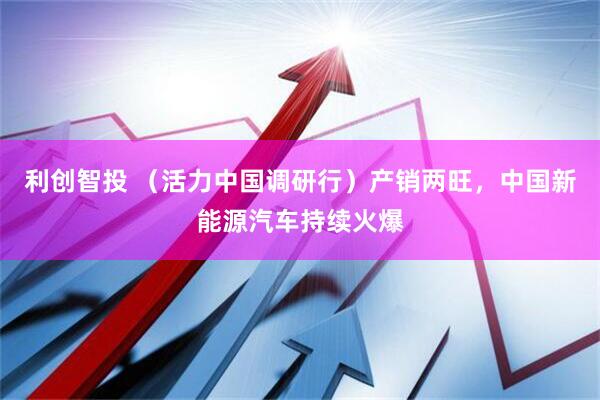 利创智投 （活力中国调研行）产销两旺，中国新能源汽车持续火爆